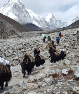 Everest Base Camp with Lobuche East Peak Climbing